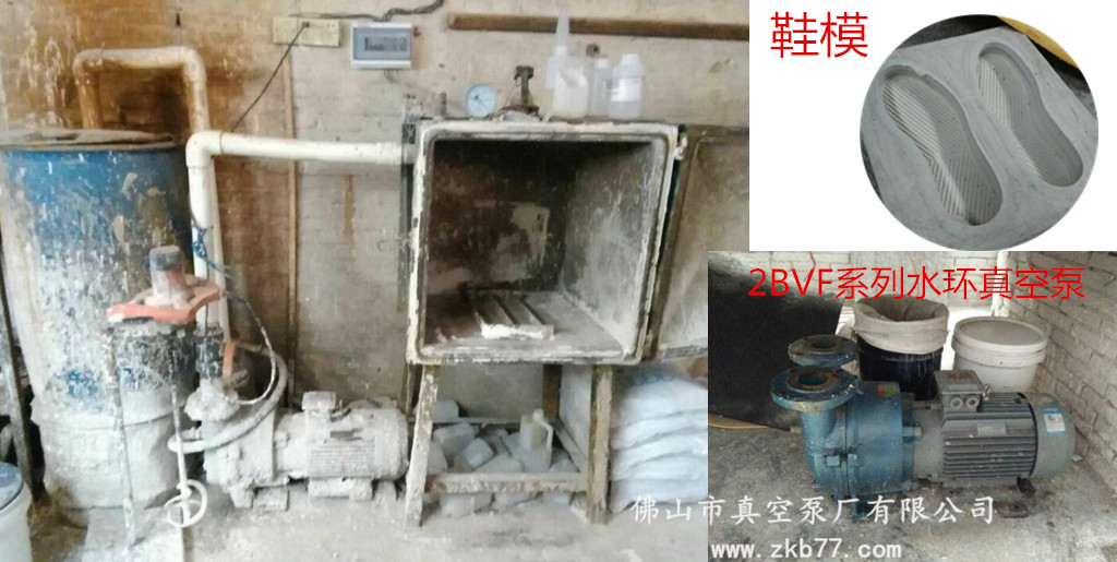 鞋模水環真空泵